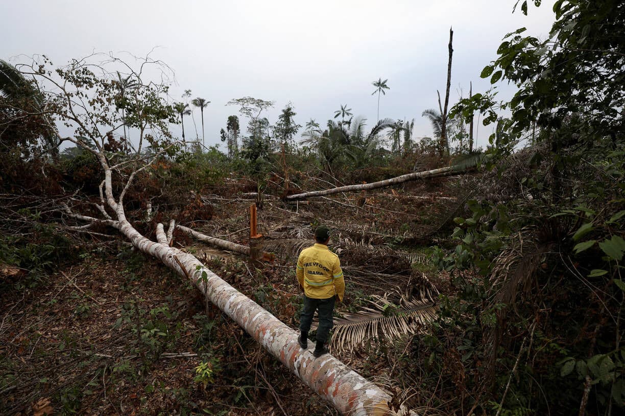 Governo autoriza concurso público para cargos do Ibama e do ICMBio