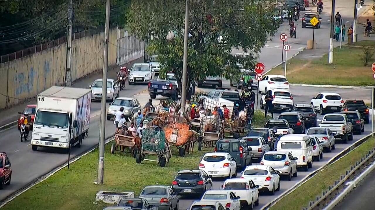 Carroceiros fazem protesto próximo à Prefeitura de João Pessoa e deixa trânsito lento no local