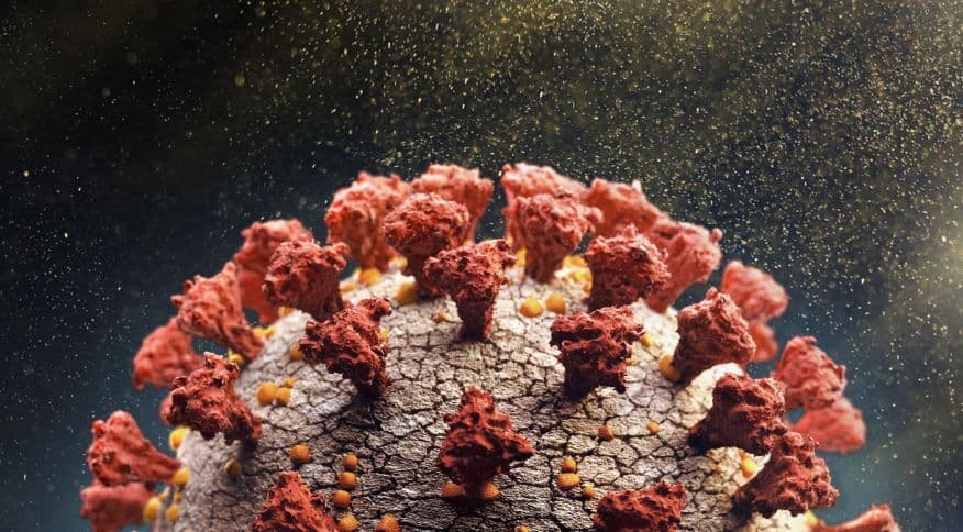 Anvisa faz identificação preliminar de dois casos da variante Ômicron