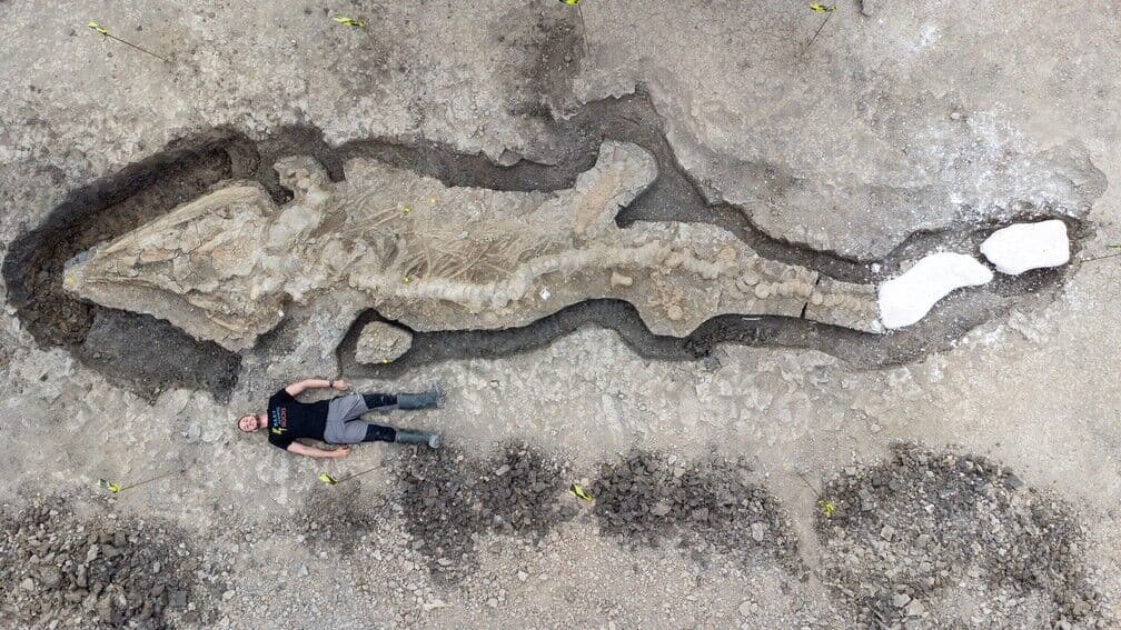 Imagens de drone revelam fóssil gigante de 'dragão marinho' descoberto no Reino Unido