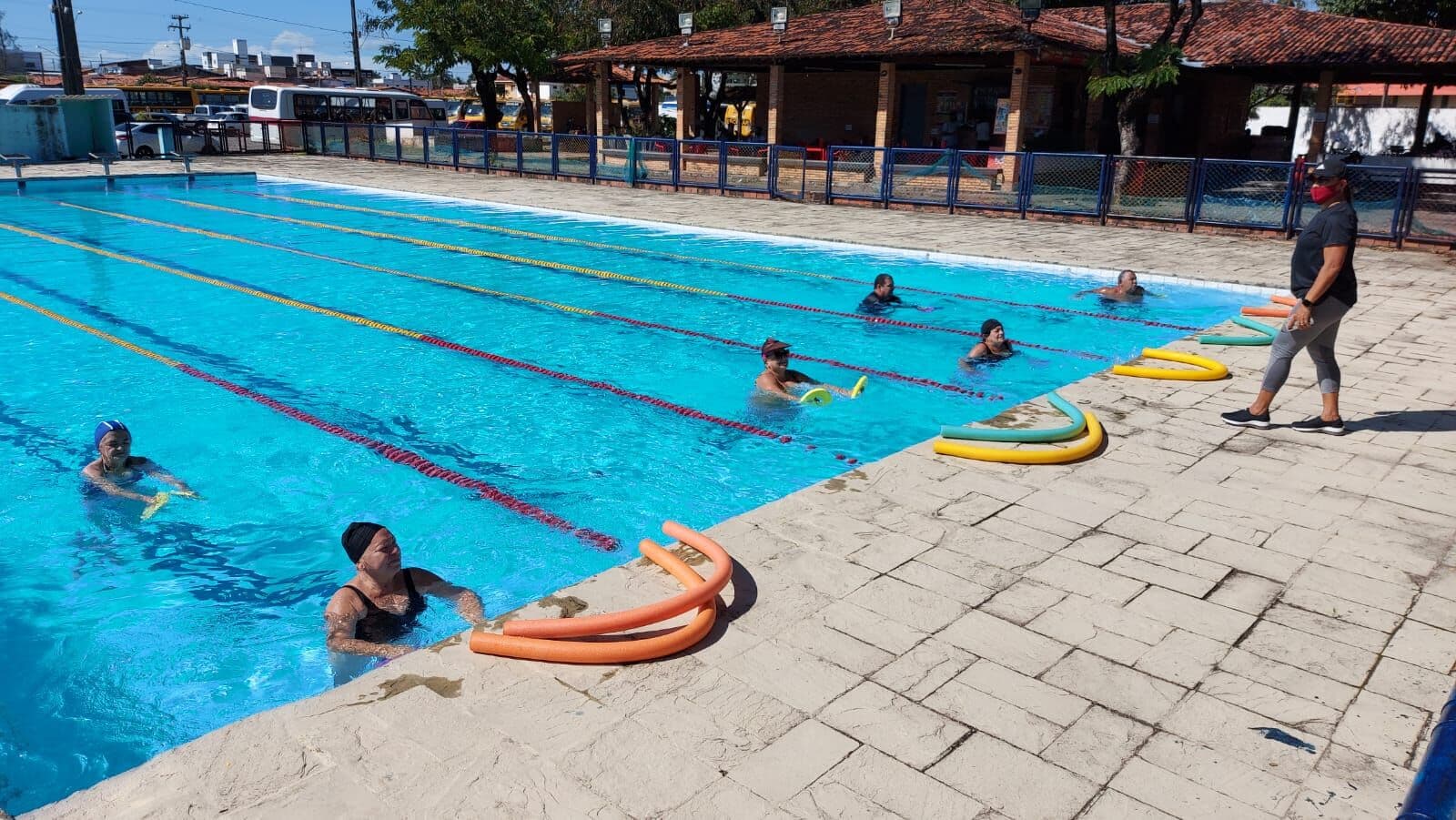 Harvard indica os 5 melhores exercícios para o corpo