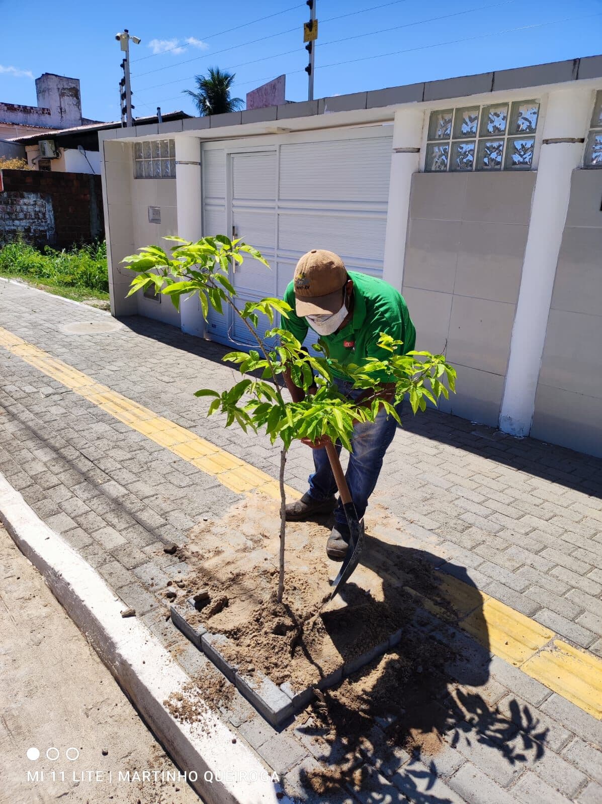 Projeto da Semam fez o plantio de quase 400 mudas da Mata Atlântica em calçadas e praças públicas este ano