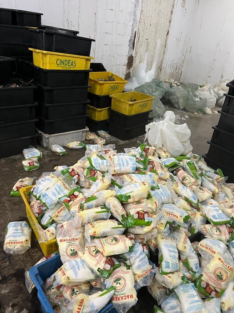 Mais de 4 toneladas de peixes das Cooperativas de Alimentos que seriam distribuídos na Semana Santa são descartados por Vigilância Sanitária