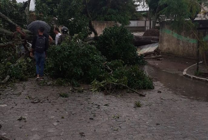 Árvore cai durante chuvas em Sapé e atinge homem, que foi socorrido para hospital