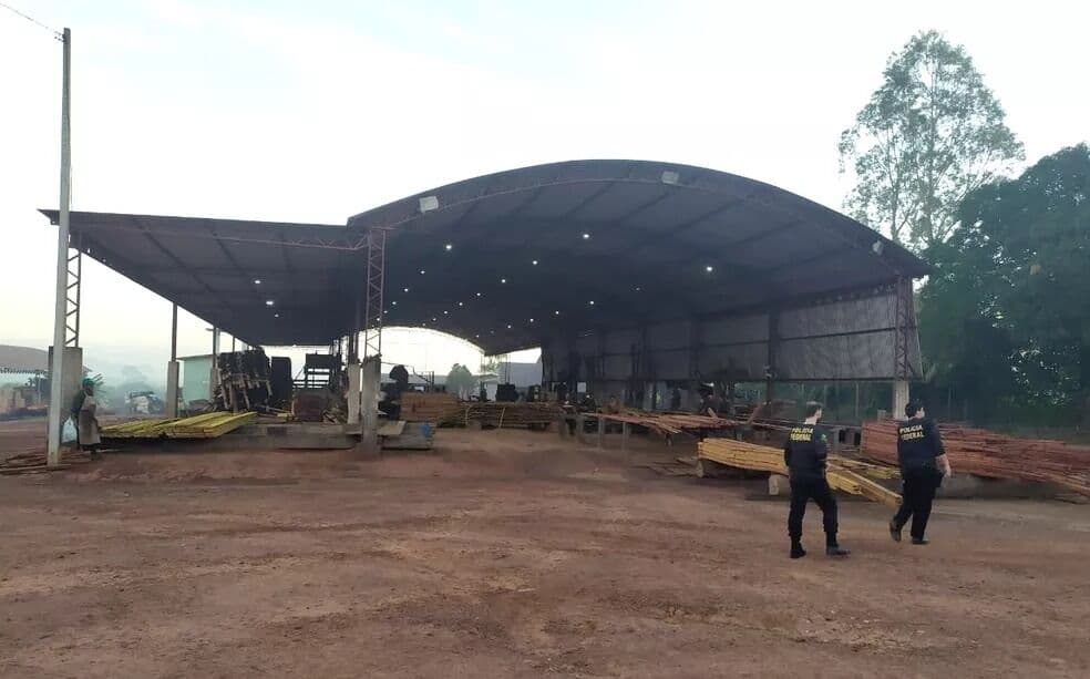 Polícia Federal deflagra Operação Micélio para desarticular comércio ilegal de madeira vinda do Pará até Paraíba e Rio Grande do Norte
