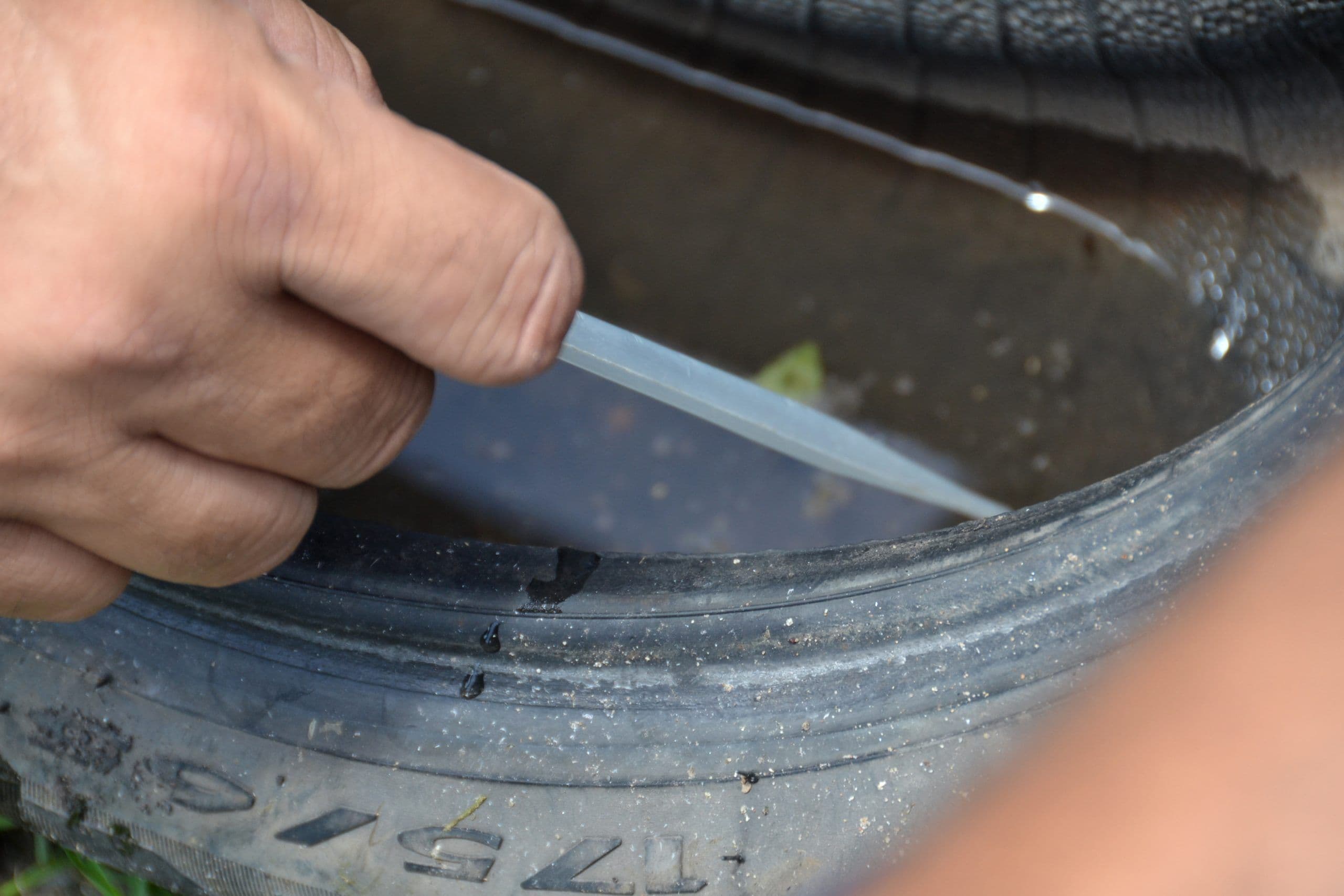 João Pessoa registrou 5,9 mil casos de arboviroses no primeiro semestre deste ano