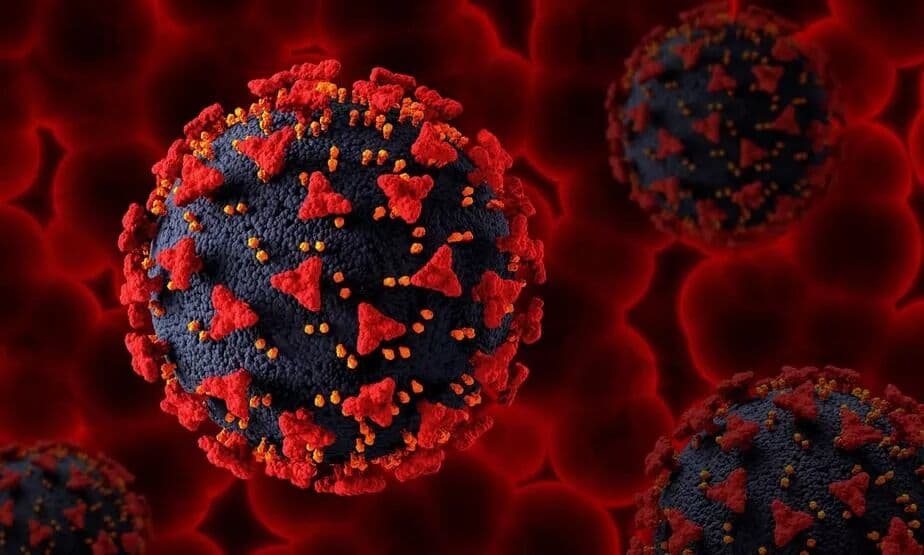 Covid-19: novos estudos apontam mercado em Wuhan como origem da pandemia