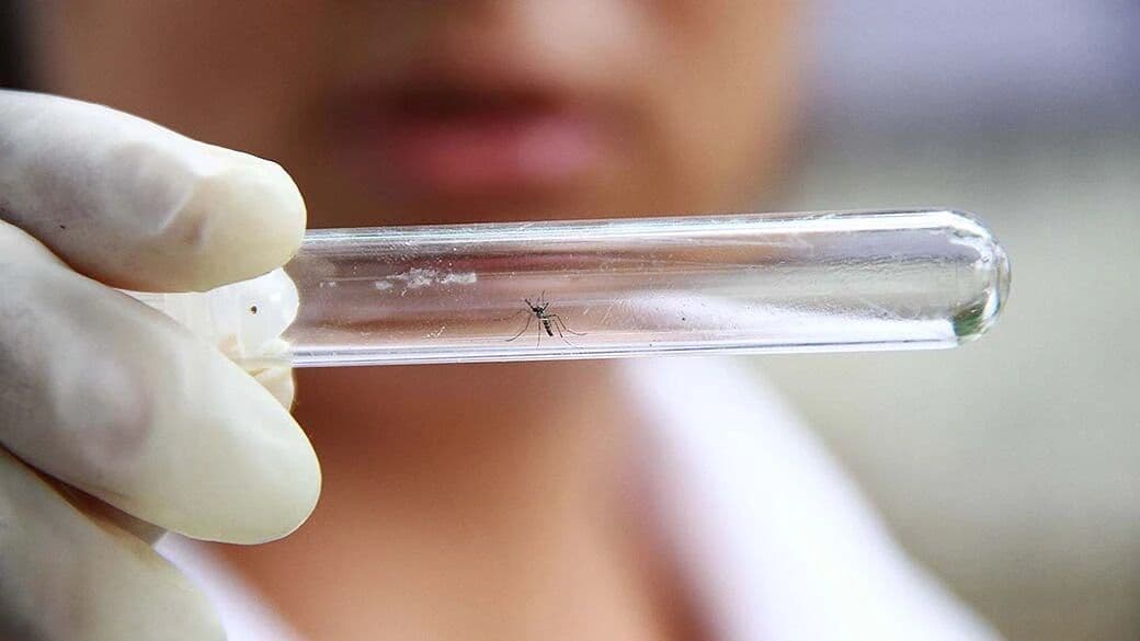 Jovens de 12 a 17 anos podem participar de testes de vacina contra chikungunya; saiba como