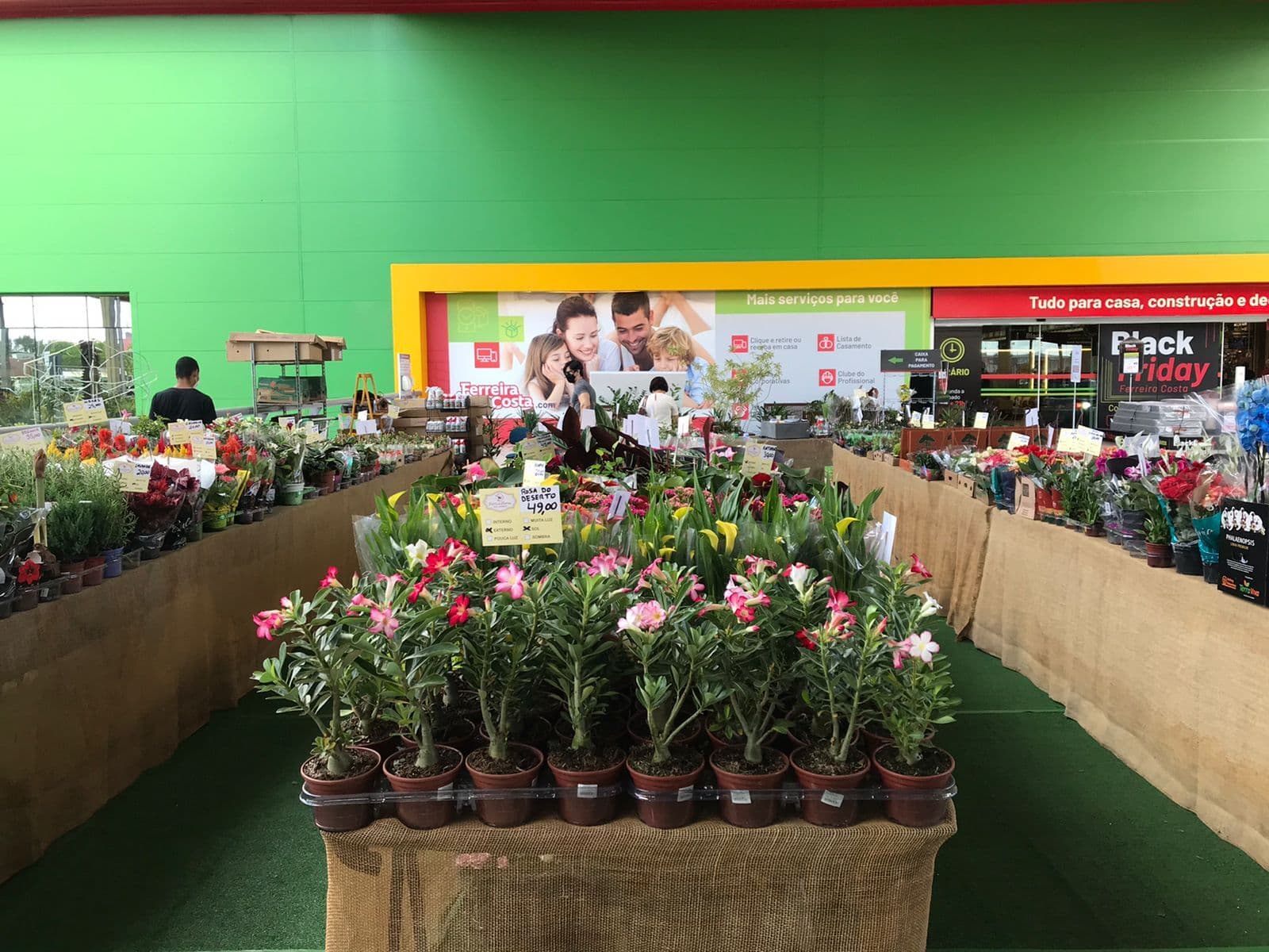 Ferreira Costa promove Feira de Flores de Holambra em João Pessoa