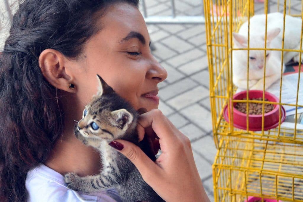 João Pessoa lança programa que vai beneficiar protetores independentes de animais nesta quinta-feira