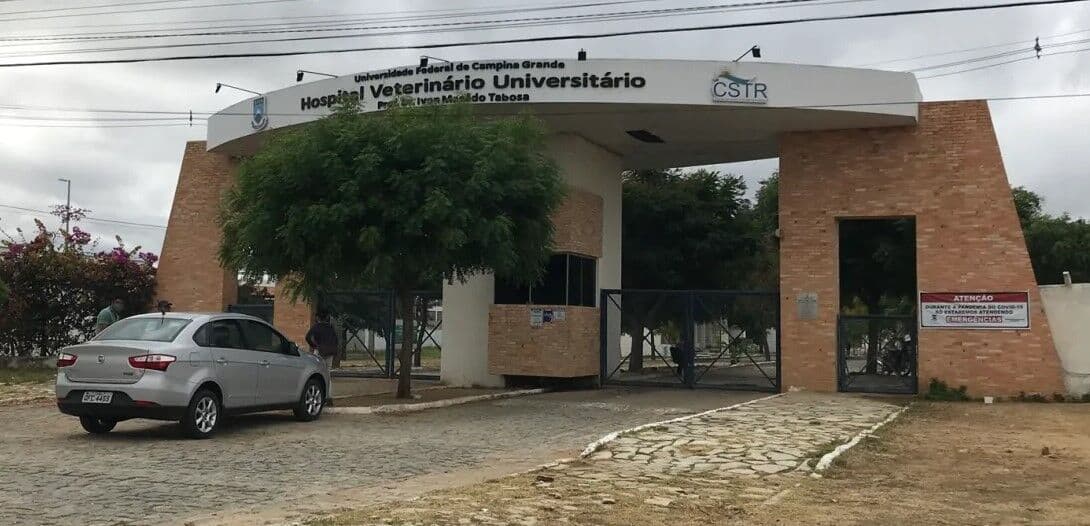 Homem se passa por Bruno Mars e dá golpe de R$ 535 mil em idosa