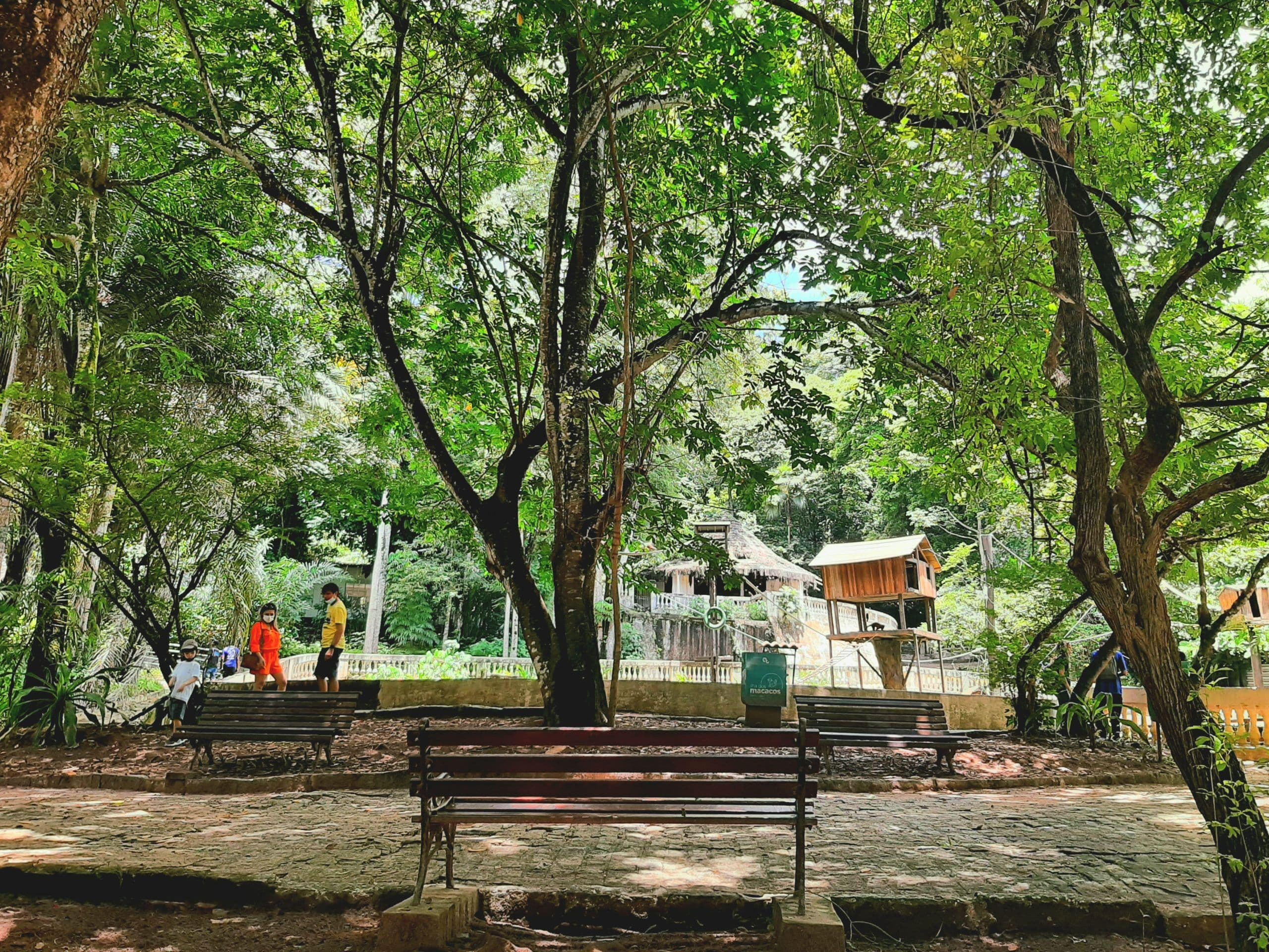 Bica estará aberta ao público durante feriadão de São João