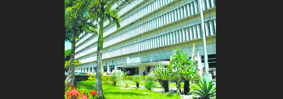 Secretaria de Saúde de João Pessoa inscreve para capacitação sobre esporotricose humana