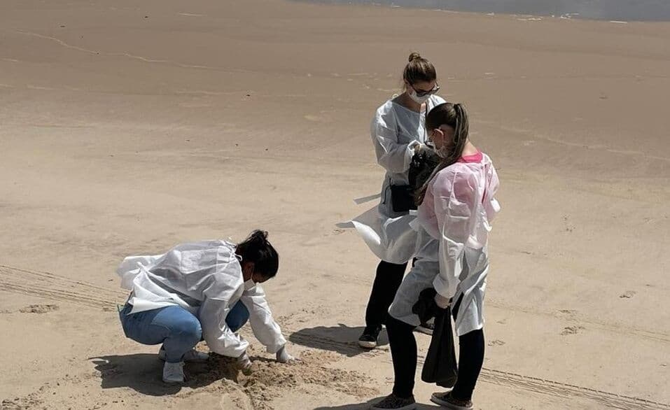 Pesquisadores da UFPB identificam parasitas intestinais em 10 trechos de praias da Paraíba