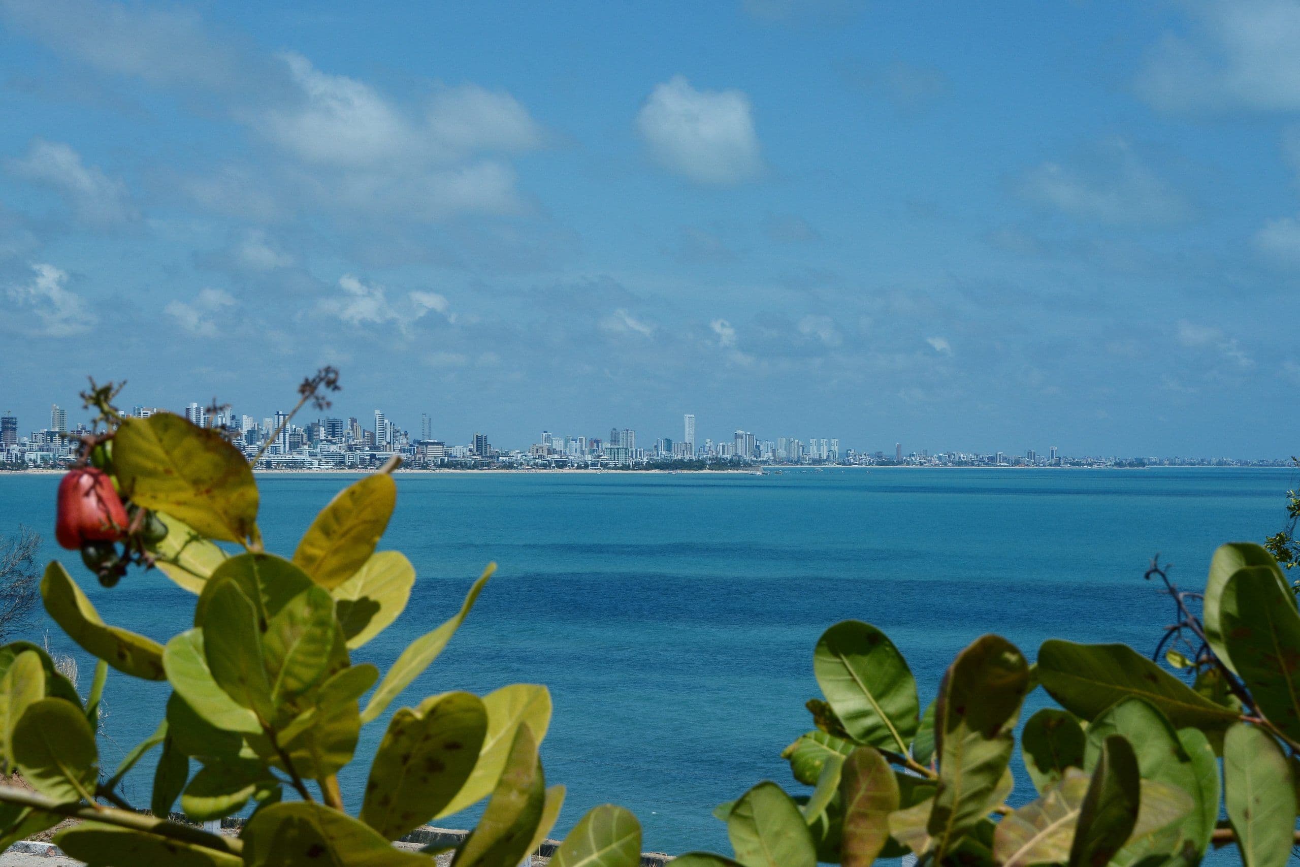 Rota Confins a João Pessoa teve a maior média de ocupação dos voos no Brasil em 2022