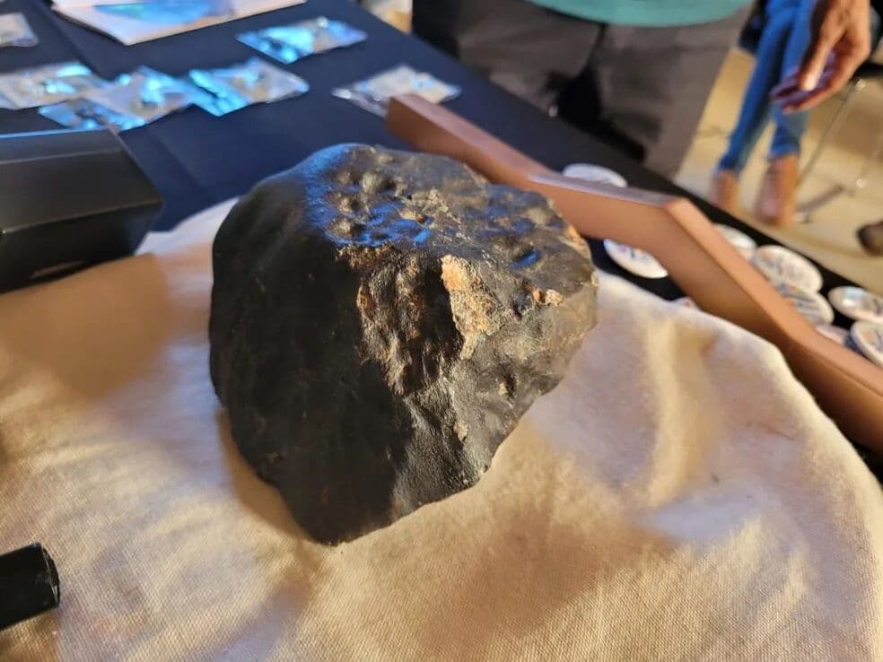 Meteorito que caiu em Pernambuco é o primeiro incorporado à coleção do Museu Nacional após incêndio
