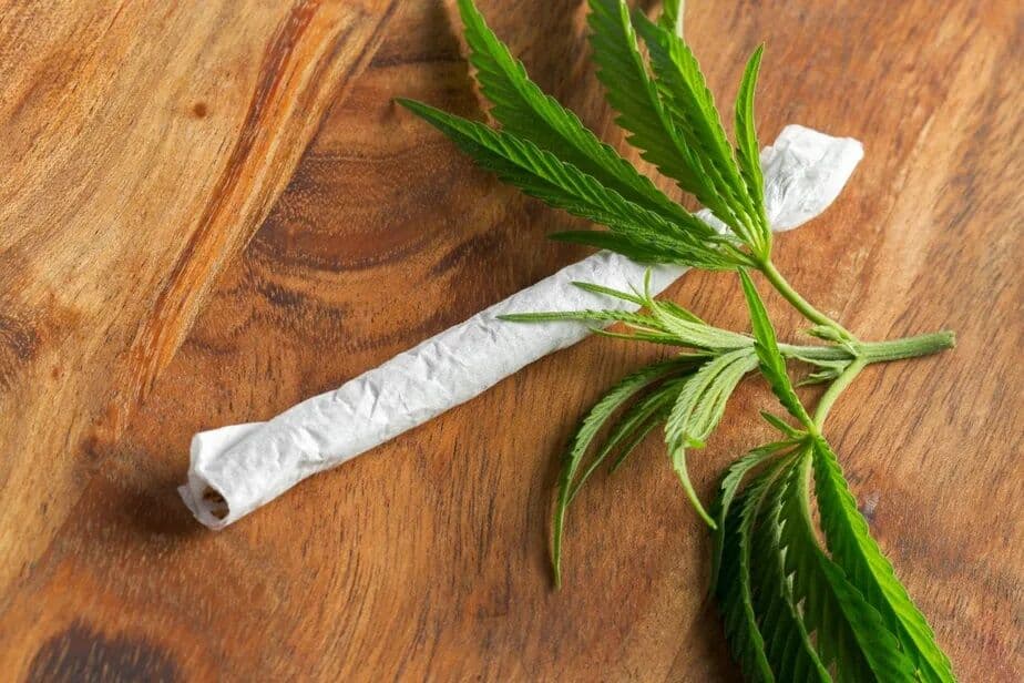 Maconha: uso casual da droga aumenta risco de depressão e tendências suicidas em adolescentes