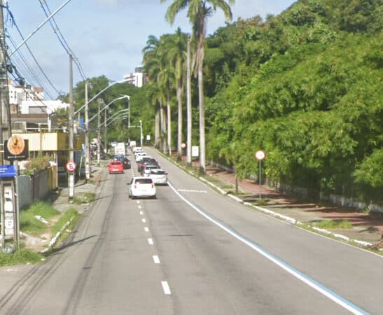 Árvore cai na avenida Pedro II, após chuvas em João Pessoa
