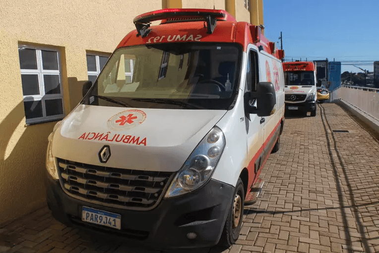 Homem tem braço dilacerado após ser mordido por jumento em Minas