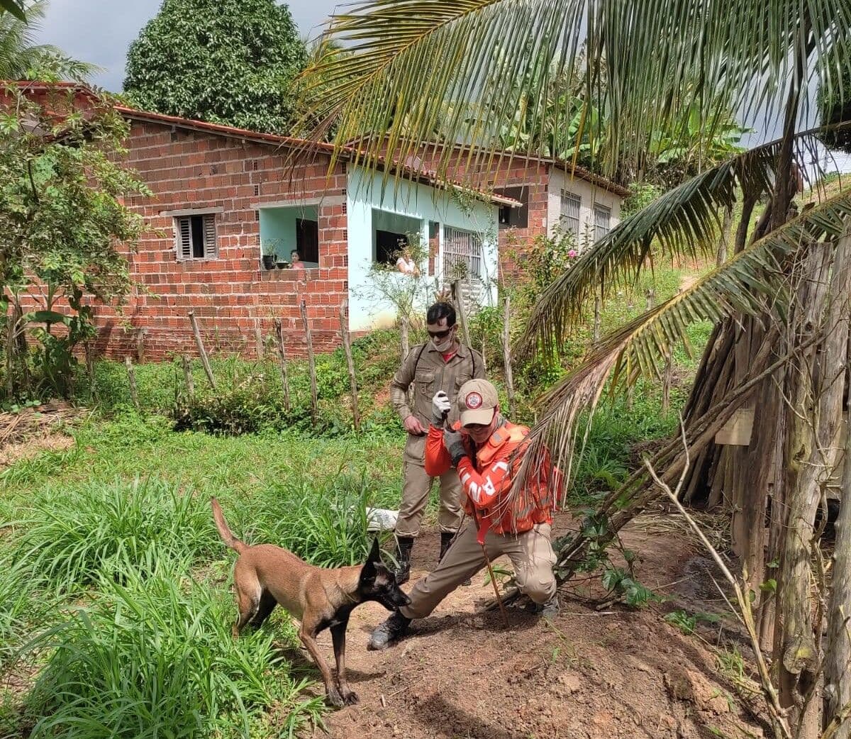 Caso Sophia: polícia e bombeiros continuam buscas mesmo após desativação de força-tarefa em escola