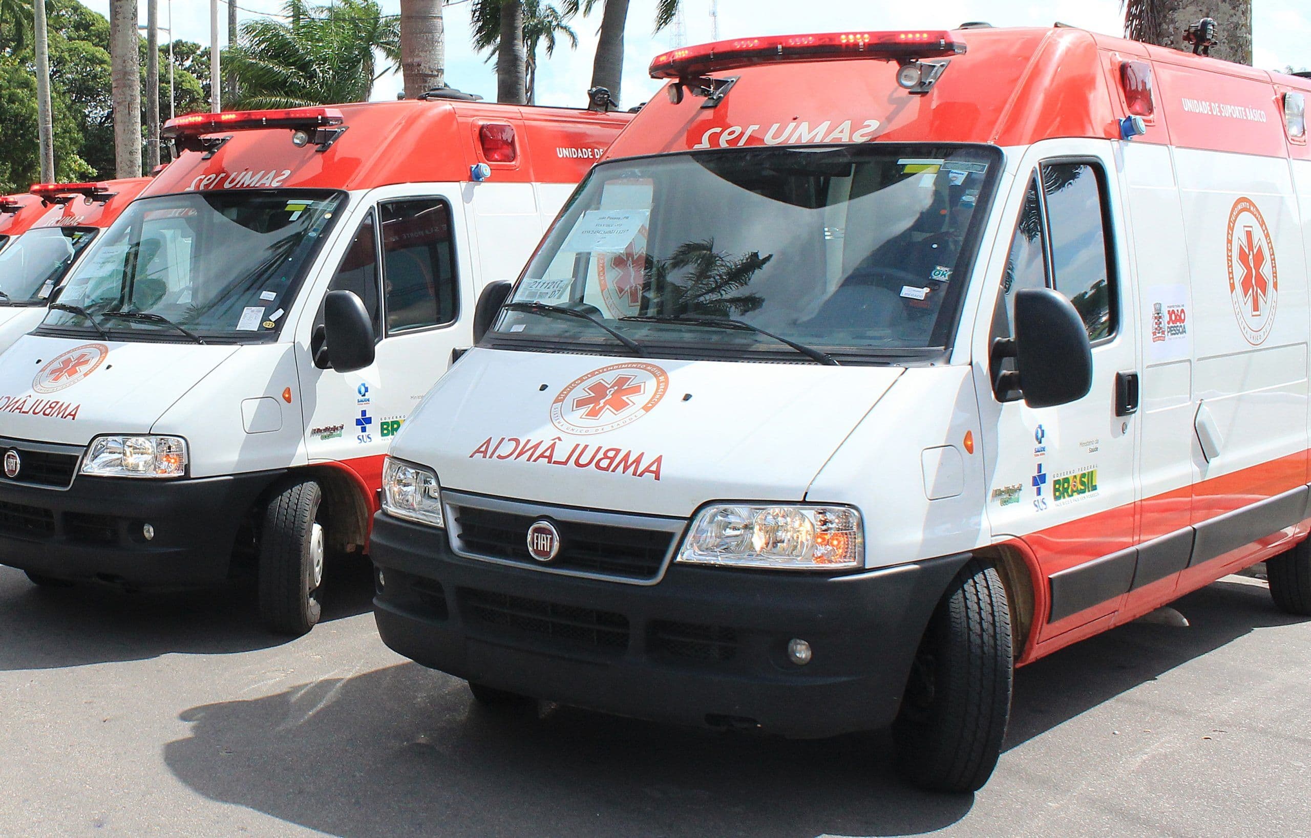 Agricultor morre após sofrer ataque de enxame de abelhas no Sertão