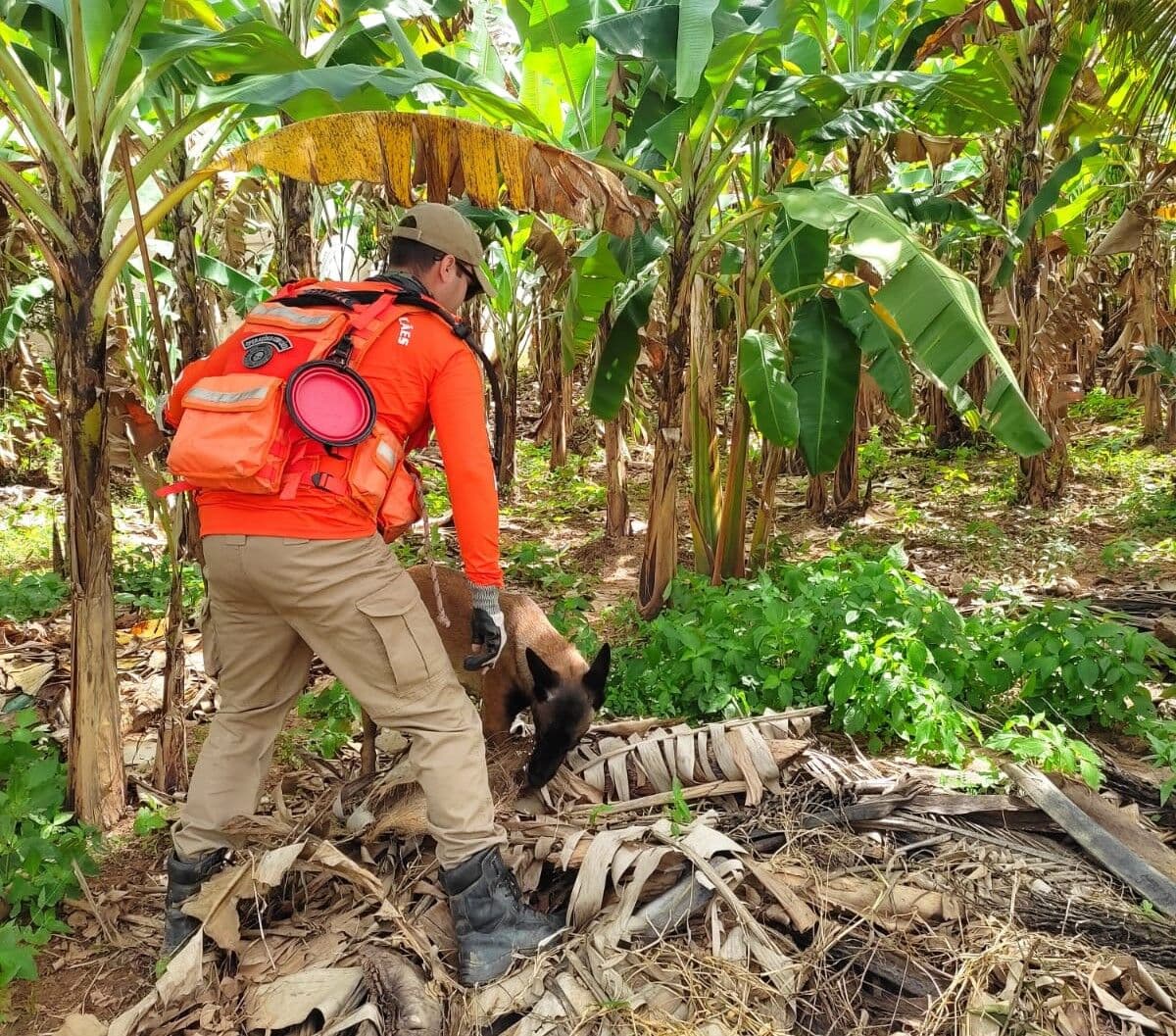 16º dia: Bombeiros vasculham poços e cacimbas em busca de Ana Sophia
