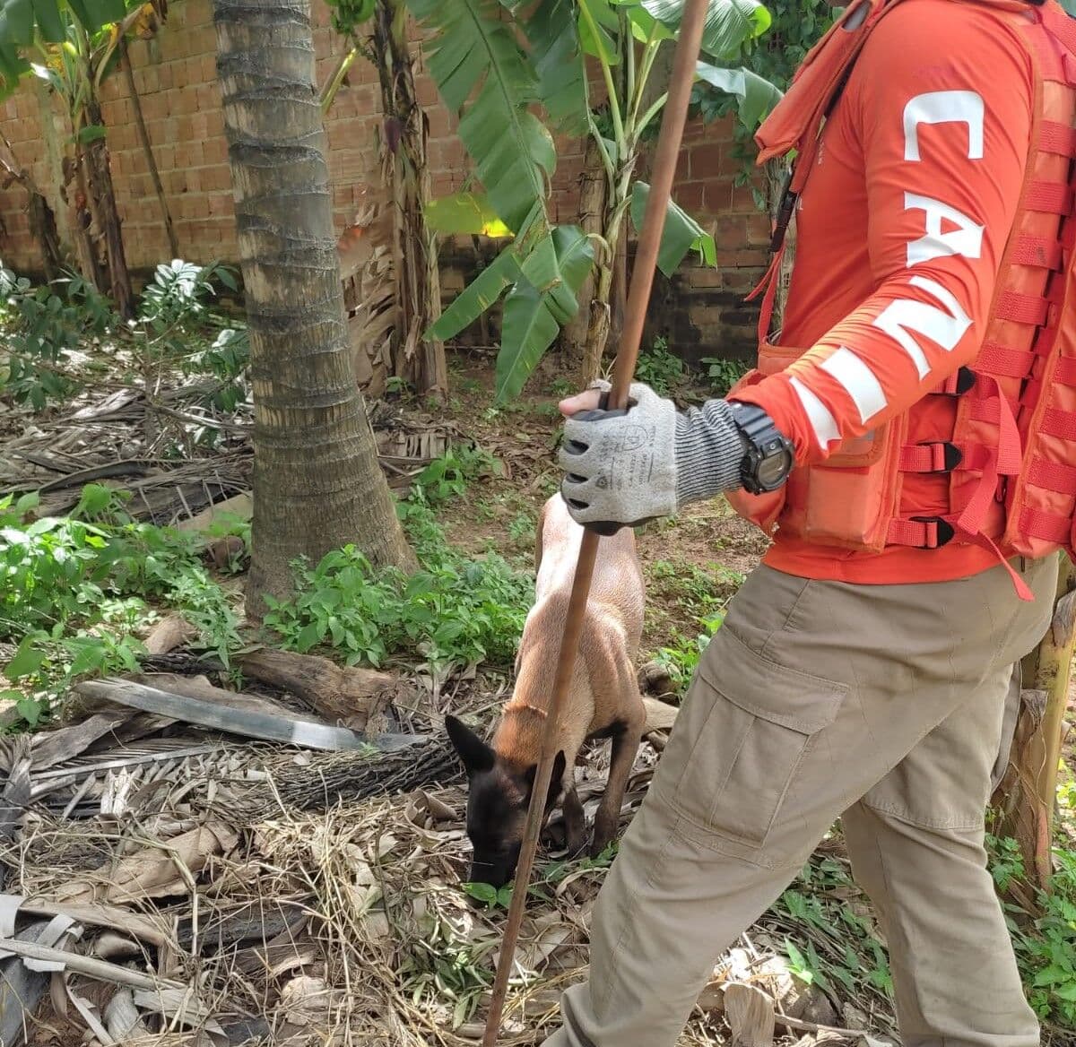 Força-tarefa muda estratégia de buscas pelo corpo de Ana Sophia; conheça os detalhes da ação dos Bombeiros