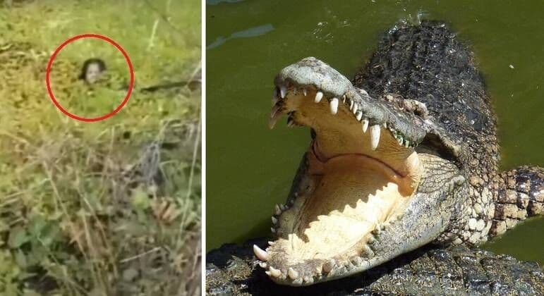Mulher sobrevive por 90 minutos a ataque feroz de crocodilo gigantesco: 'Ainda posso vê-lo'