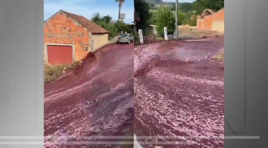 VÍDEO: cidade de Portugal fica com ruas alagadas de vinho após rompimento em depósito