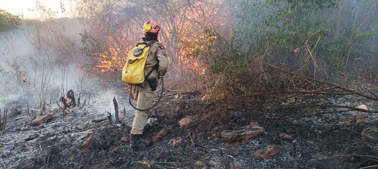 Incêndio atinge região do Parque Estadual Serra da Santa Catarina, no Sertão da Paraíba, e força-tarefa combate fogo
