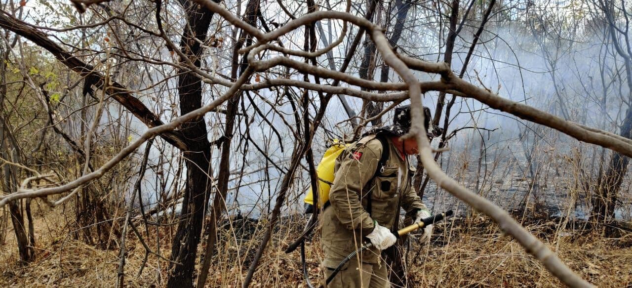 Registros de queimadas na Paraíba aumentam 21% este ano em relação ao ano passado, segundo dados do Inpe
