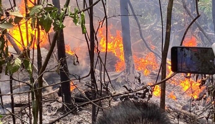 Avião Caravan cai em Rio Branco, explode e 12 pessoas morrem