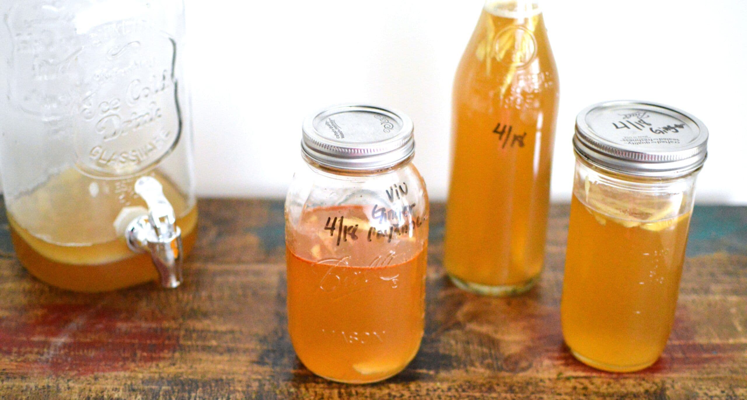 Kombucha: bebida probiótica que emagrece e estimula o metabolismo