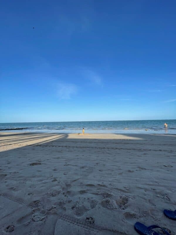 Cão na praia sem coleira pode render multa de até R$ 3 mil para tutores em João Pessoa