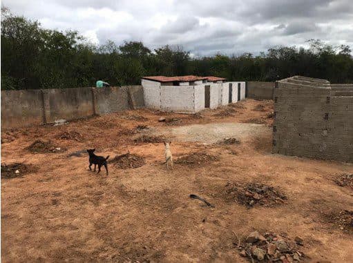 Prefeitura de Juru é denunciada por negligência e falta de alimentação a animais em canil municipal; animais viviam em "condições deploráveis"