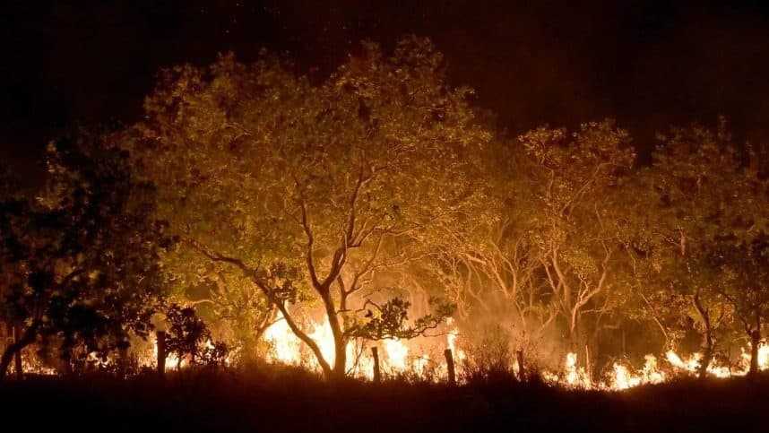 Roraima tem 45% do total de focos de queimadas do país em fevereiro