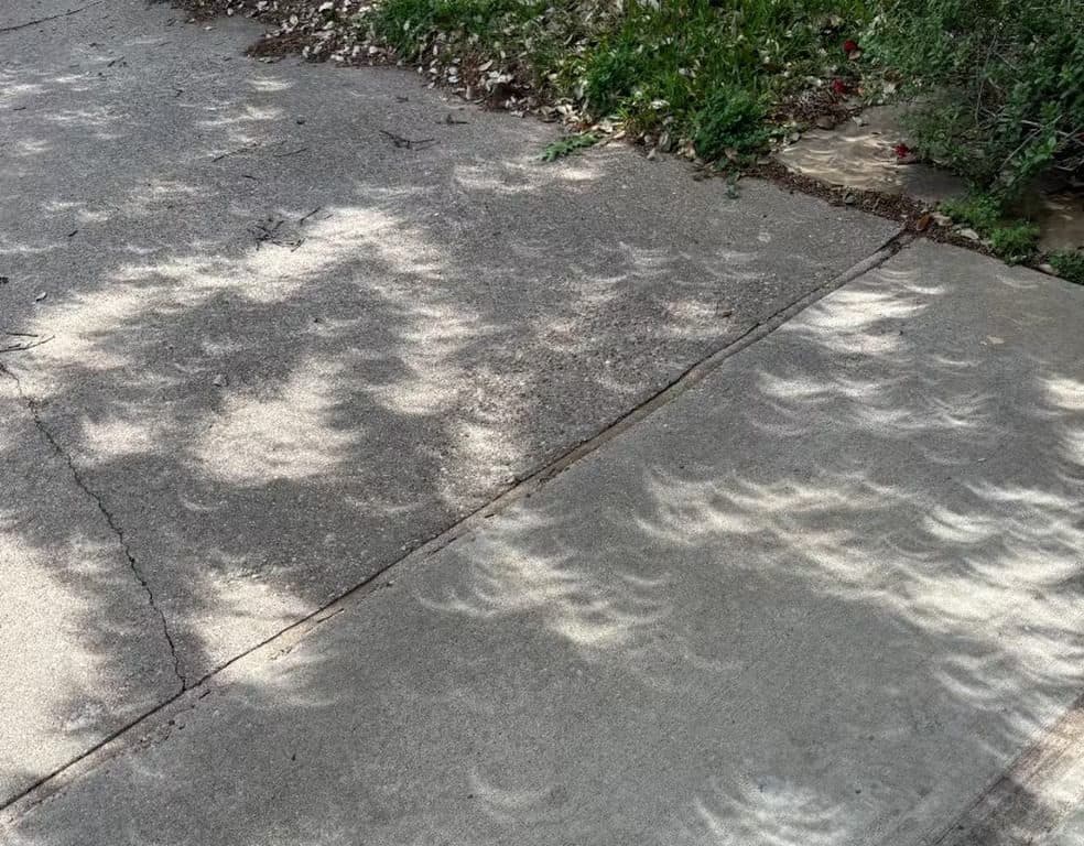 Imagens de eclipse solar total 'multiplicado' no chão chamam a atenção; ciência explica fenômeno
