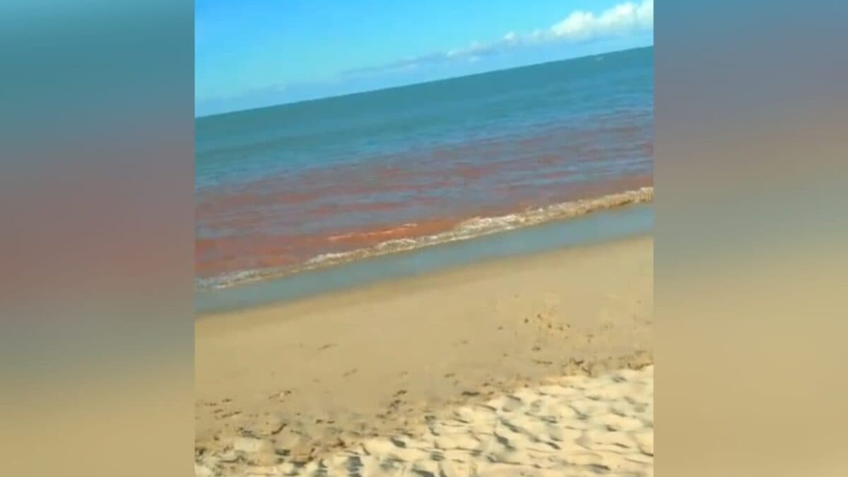 Crescimento de microrganismos causou 'maré vermelha', que mudou cor da água do mar em Cabo Branco
