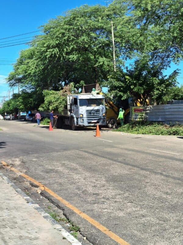 Prefeitura de Santa Rita manda derrubar árvores centenárias no Centro e gera revolta na cidade