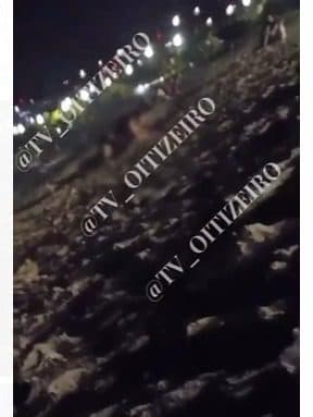 Casal é flagrado fazendo sexo na praia do Cabo Branco, em João Pessoa; veja vídeo