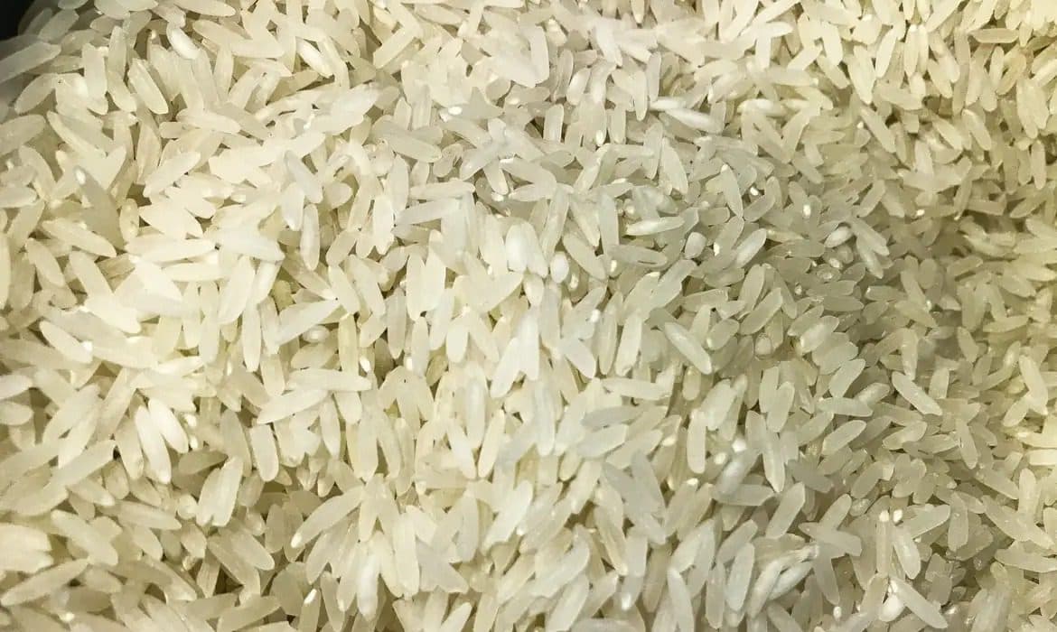 Associações se pronunciam sobre estoque de arroz para o Brasil após enchentes no Rio Grande do Sul