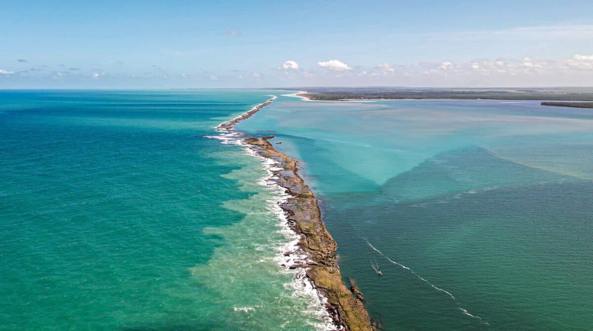 Branqueamento de corais é registrado na Área de Preservação Ambiental da Barra do Mamanguape