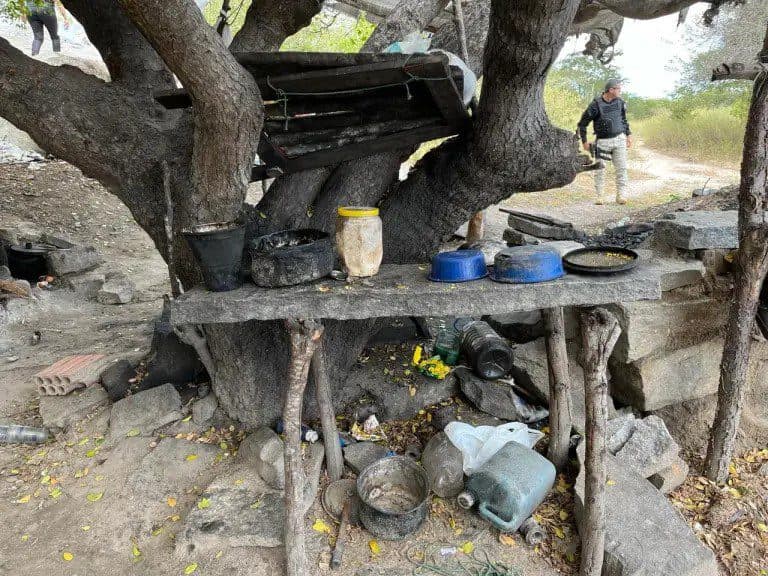 Operação resgata 17 paraibanos em situação análoga a escravidão; homens tomavam banho em poças de água de chuva