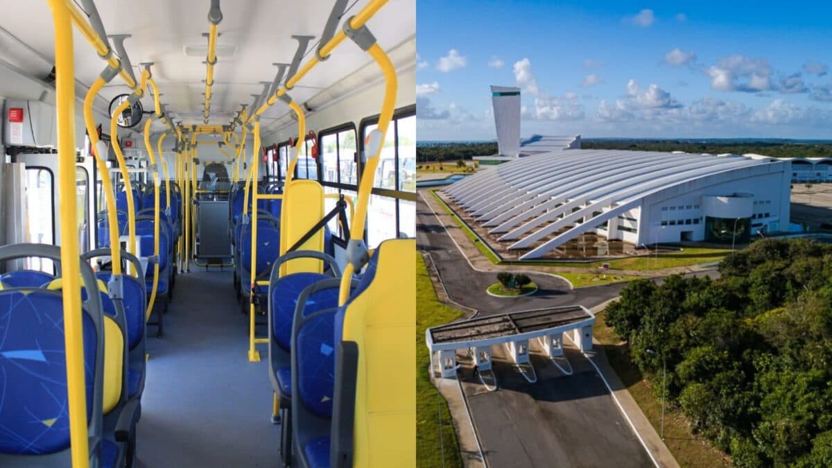 Imagineland: saiba como utilizar os ônibus gratuitos para o evento de cultura pop em João Pessoa