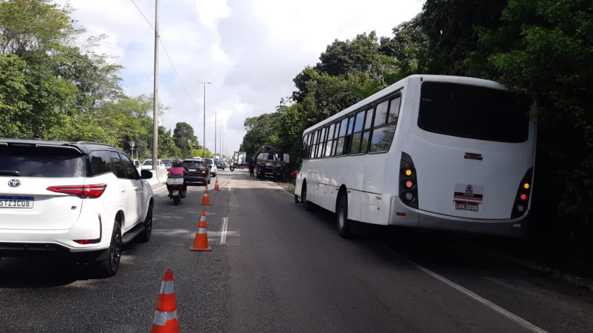 Árvore que caiu e bloqueou trecho da BR-230 em João Pessoa é retirada
