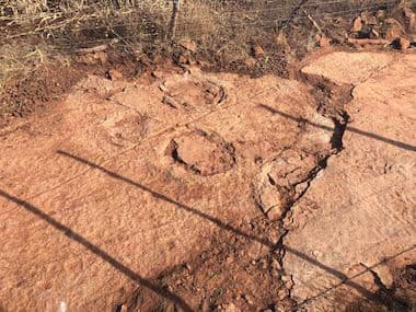 Sete pegadas de dinossauros de 125 milhões de anos são encontradas no Sertão da Paraíba