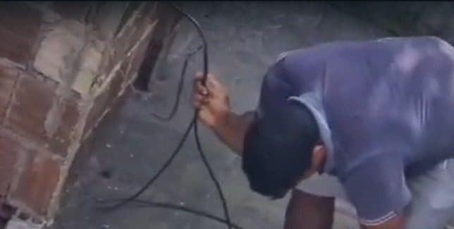 Homem é preso por agredir cadela com fio de energia em João Pessoa