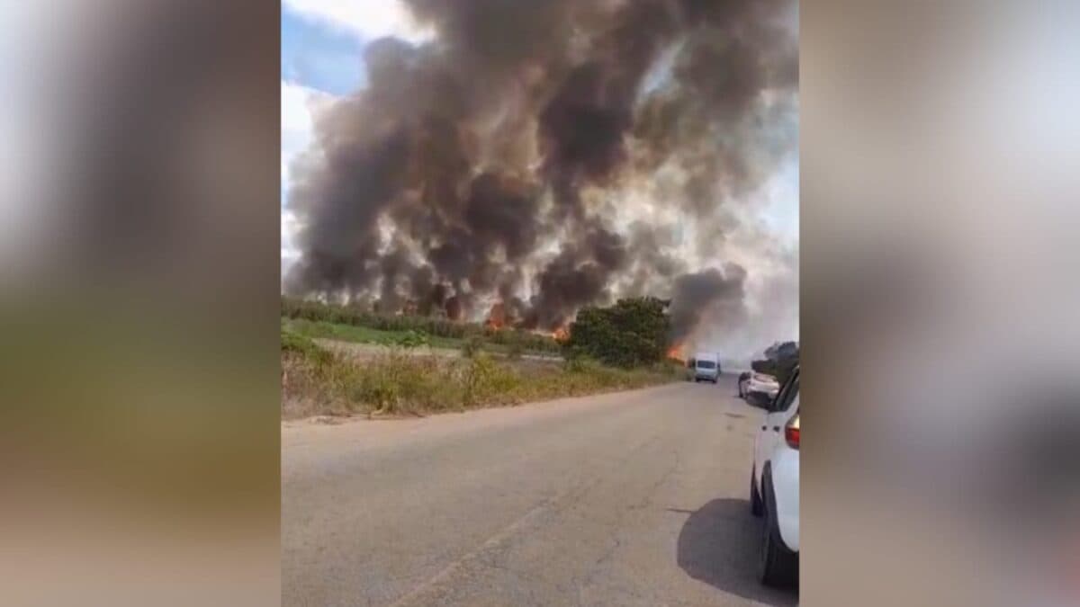 VÍDEO: incêndio atinge plantação de cana-de-açúcar na Paraíba