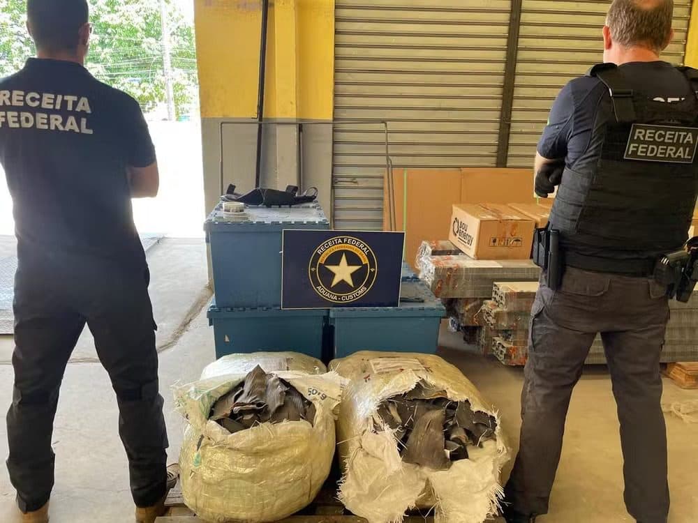 Receita Federal apreende 66kg de barbatanas de tubarões que seriam enviadas de João Pessoa para a China
