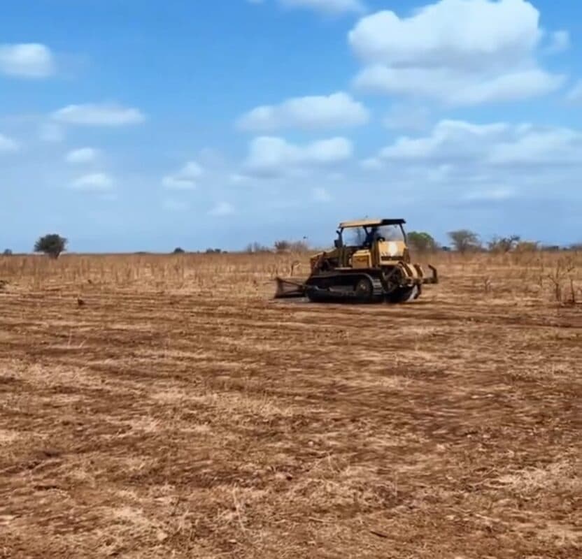 Sousa inicia construção de CT com campos de futebol, alojamentos, restaurante e sala médica: "realização de um sonho", diz presidente